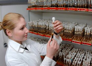 Animales, hongos y otros seres unicelulares tienen un ancestro común