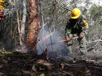Paquete Económico 2020 reduce presupuesto a Semarnat