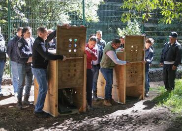 Preliberan dos venados cola blanca en el Desierto de los Leones