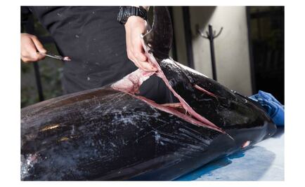 Corte de atún a la japonesa