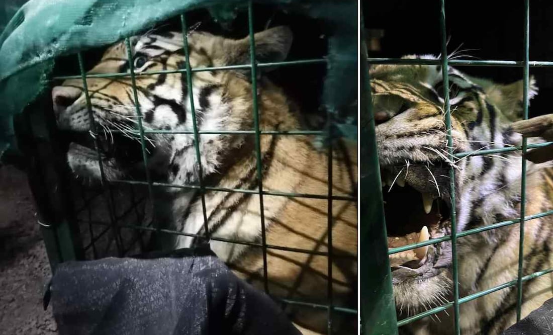 Foto ilustrativa: Archivo