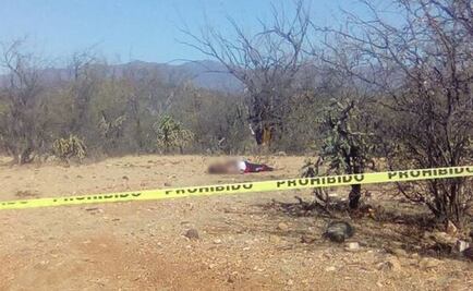 Hallan 2 cabezas humanas en la zona norte de BCS