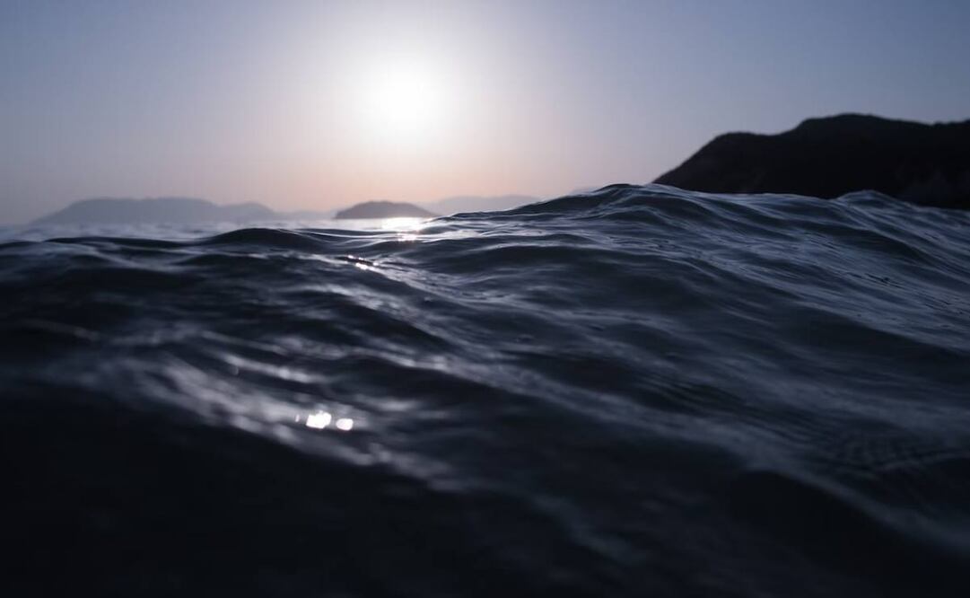 Un posible dinosaurio vive en Atizapán, conoce la historia que hay detrás de esta extraño avistamiento