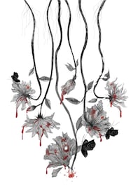 Las redes muestran el rostro del feminicidio