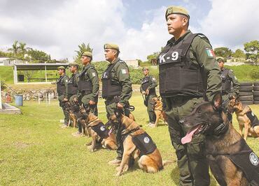 Fuerza canina: olfato contra el crimen