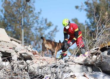 VIDEO ¡Patas a la obra! Así laboran los binomios caninos mexicanos en Turquía, tras devastador terremoto