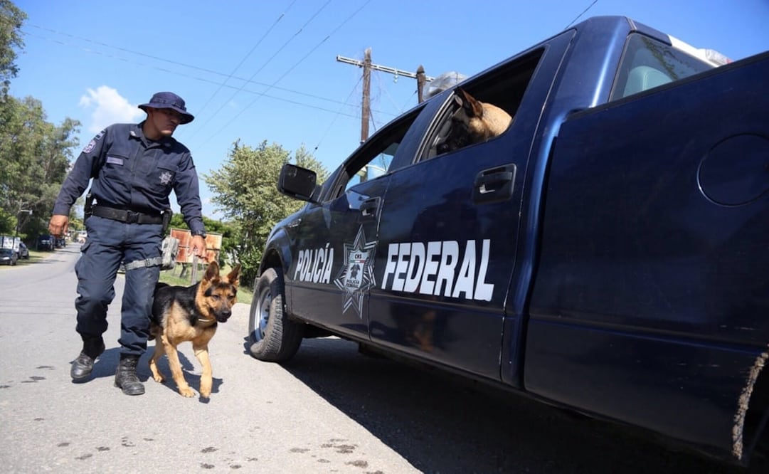 Foto: Archivo/ Cuartoscuro               