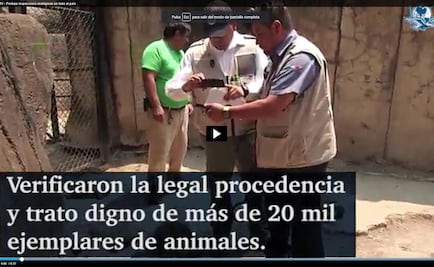 Profepa inspecciona zoológicos en todo el país