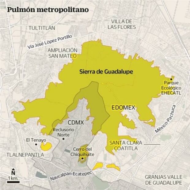Buscan revivir la Sierra de Guadalupe