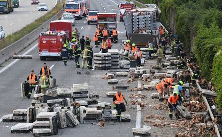 Miles de pollos bloquean carretera en Austria