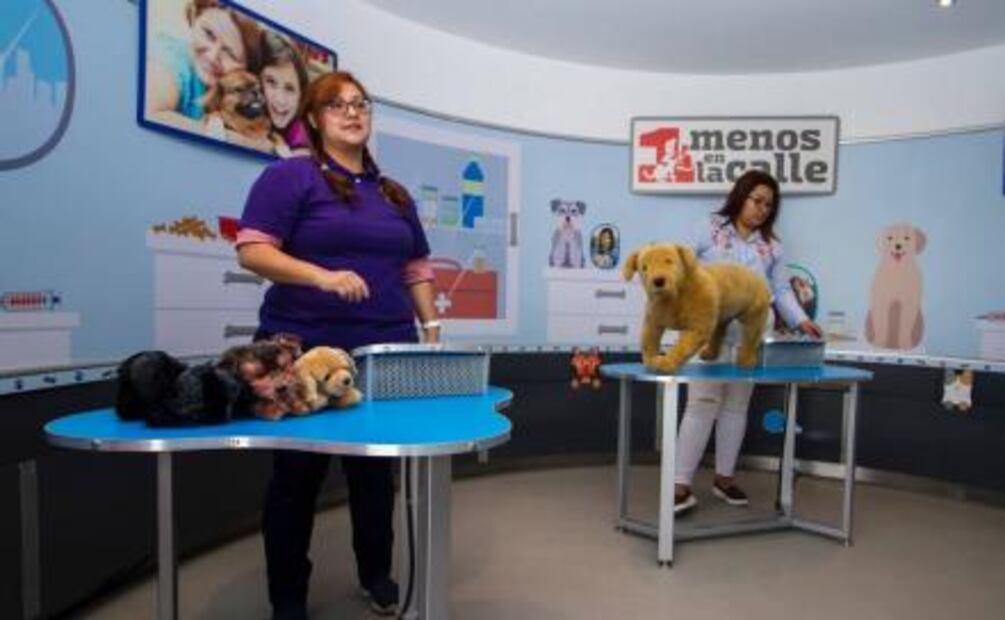 "Uno menos en la calle" busca concientizar sobre adopción de perros y gatos