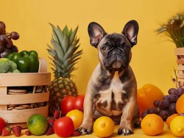 Cuáles son las frutas y verduras recomendadas para perro, según especialistas