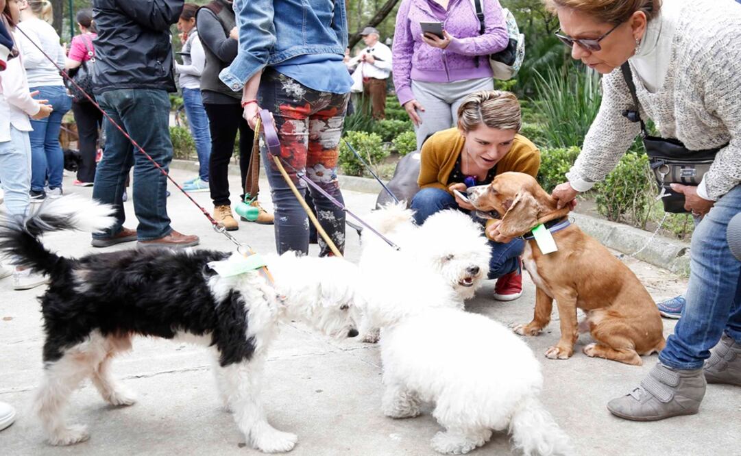 Foto: Agustín Salinas/ EL UNIVERSAL