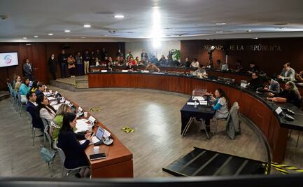 En vilo, futuro de la CNDH; prevén perfil oficialista