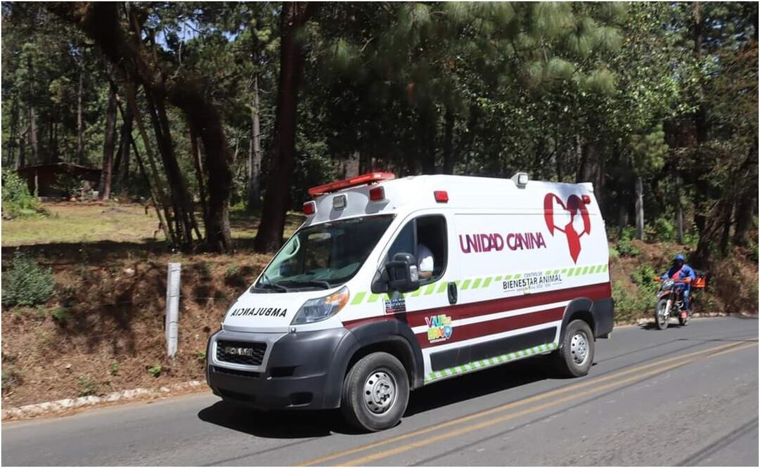 Ambulancia en Valle de Bravo. Foto: Especial