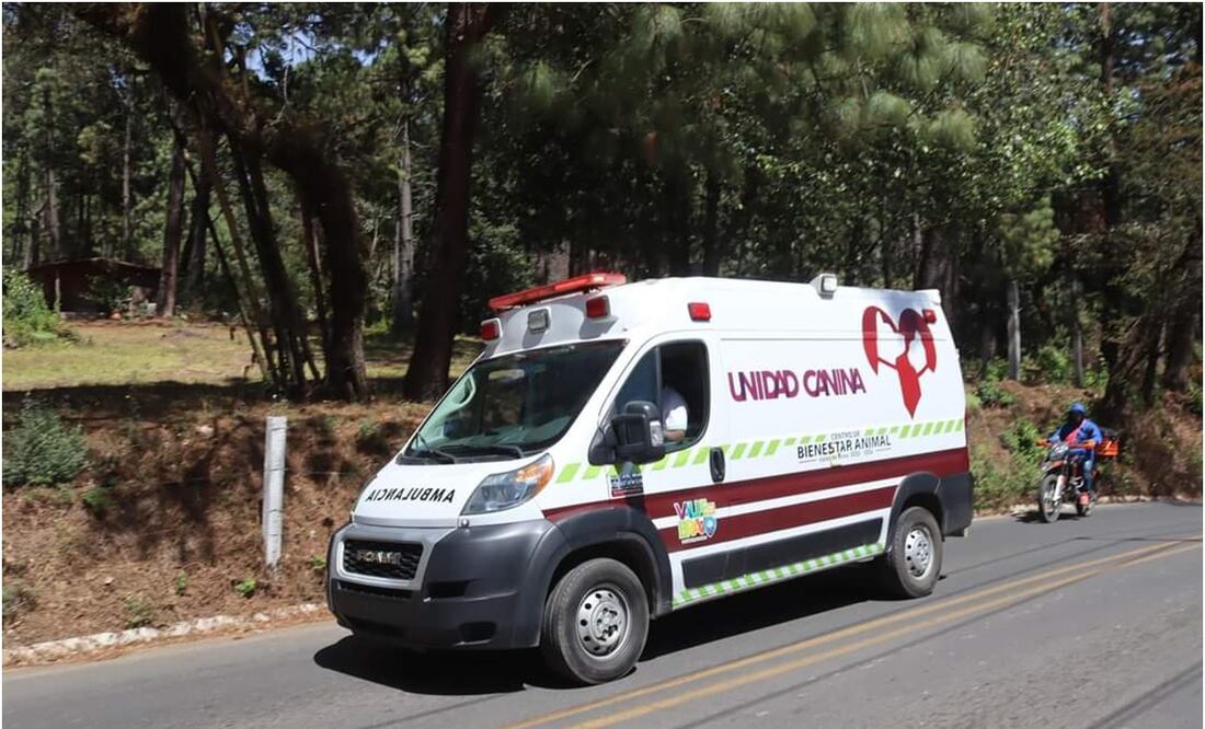 Ambulancia en Valle de Bravo. Foto: Especial