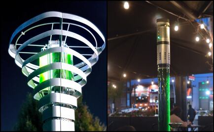 Mexico company BiomiTech designs microalgae system for air cleaning