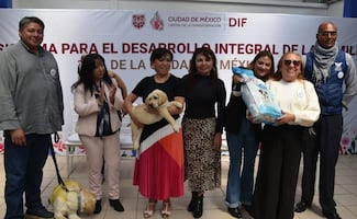 DIF CDMX apoyará a 16 fundaciones de animales; entregará alimento