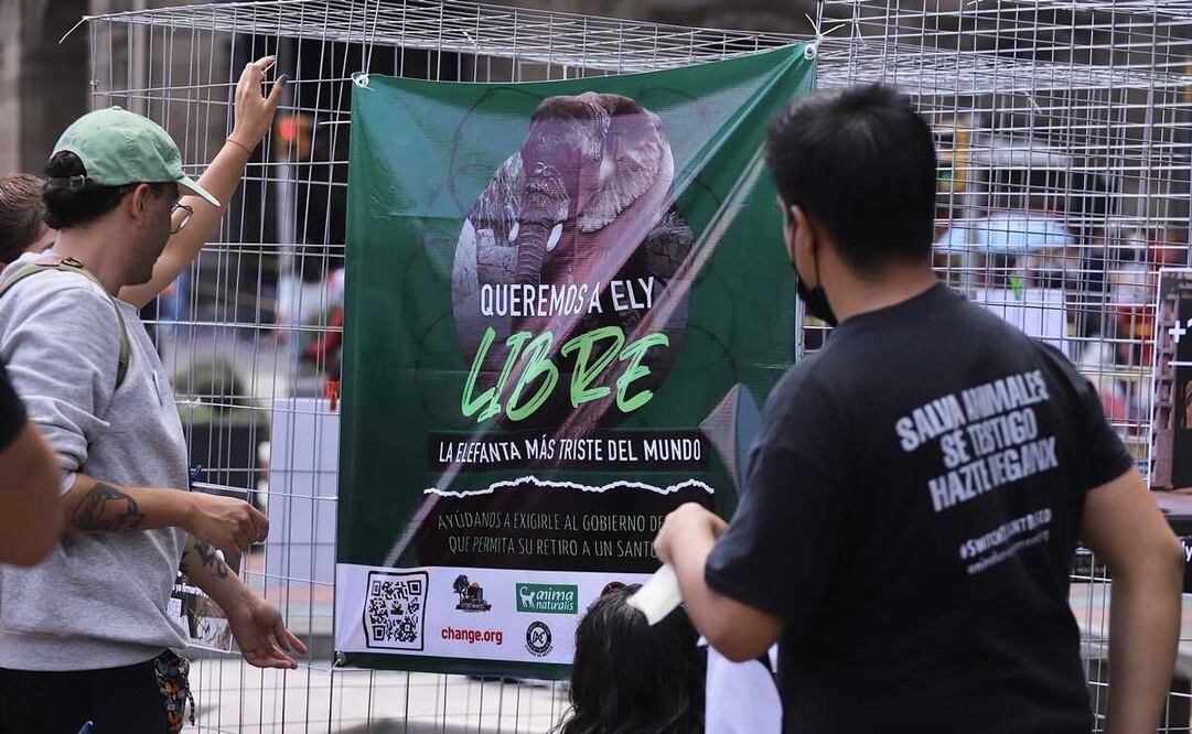 Foto: Berenice Fregoso / EL UNIVERSAL 