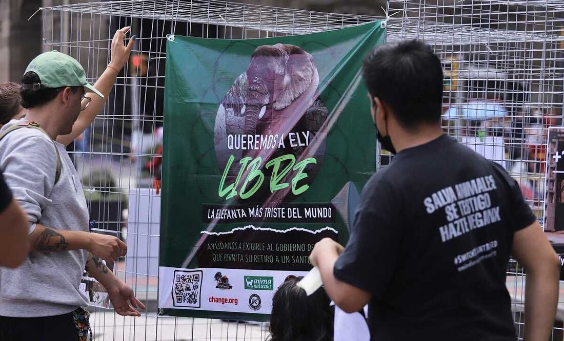 Foto: Berenice Fregoso / EL UNIVERSAL