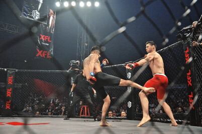 Cenicienta y Conejo, por el título