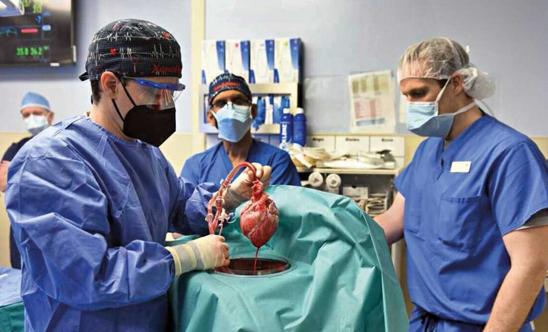 Foto: El Universal, archivo