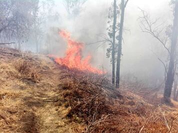 Reportan incendio de pastizal en Cerro de la Estrella