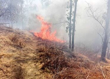 Reportan incendio de pastizal en Cerro de la Estrella