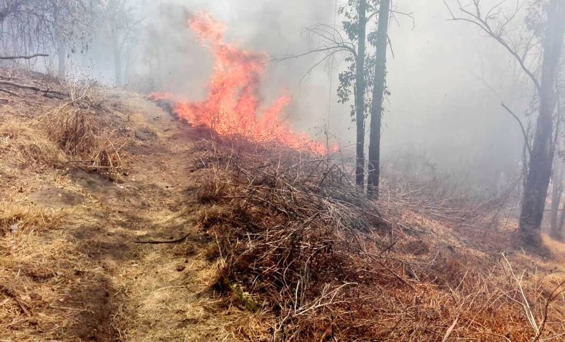 Foto: Tomada de Twitter @alertasurbanas