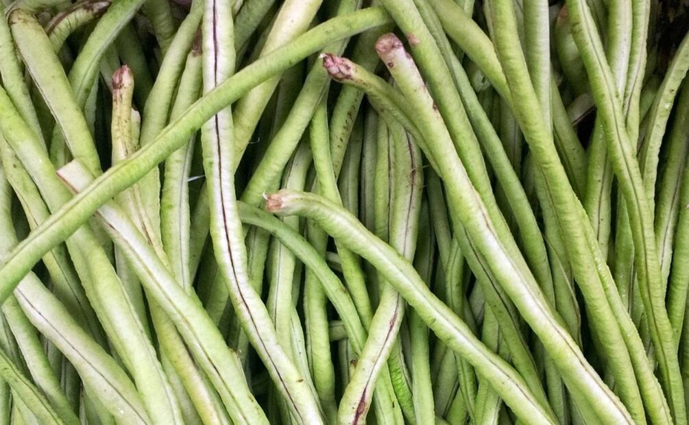 Foto: PublicDomainPictures / Pixabay