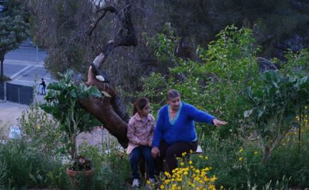 El cineasta José Luis Guerín trae a México su documental "Historias del buen valle" 