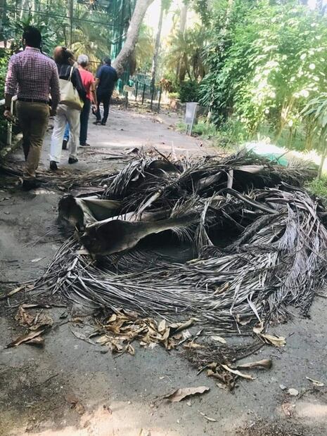 Denuncian abandono en zoológico de Veracruz; autoridades lo niegan