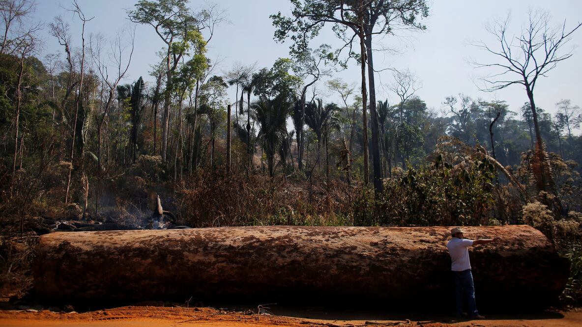 Algunos científicos sostienen que la Amazonia ha sufrido pérdidas aceleradas desde que Jair Bolsonaro asumió la presidencia (Foto: Reuters)