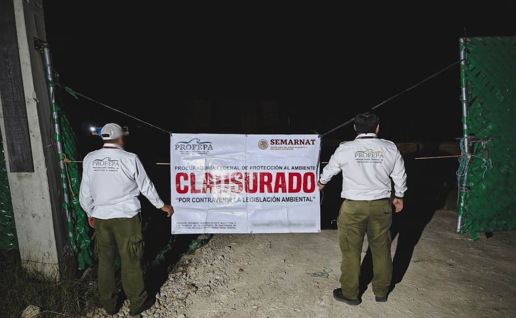 Aseguramiento de madera ilegal y de dos aserraderos en Chiapas. Foto: Procuraduría Federal de Protección al Ambiente (Profepa).