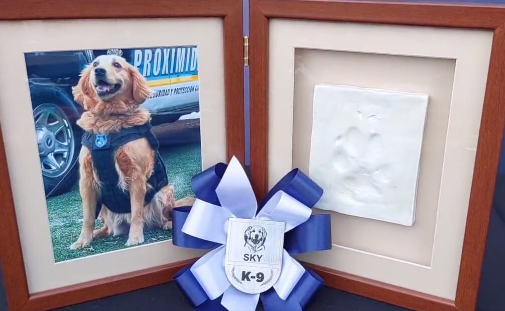 Sky asistió al pase de lista y a la toma de huellas. Foto: Twitter