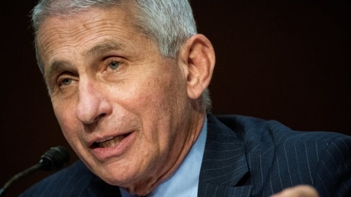 Fauci enumeró los motivos del aumento de contagios en Estados Unidos (Foto: Reuters)