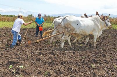 Plantean sanción a subejercicio