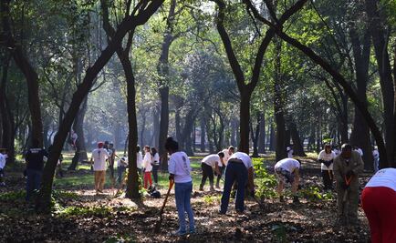 Defienden gobierno local y Morena Bosque de Chapultepec 