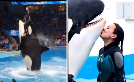 ¿Quién es Jessica Radcliffe?; la misteriosa mujer detrás del video viral de la orca que causó confusión en redes