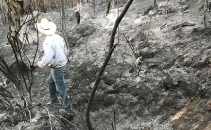 Buscan controlar incendio forestal en Tlatlaya