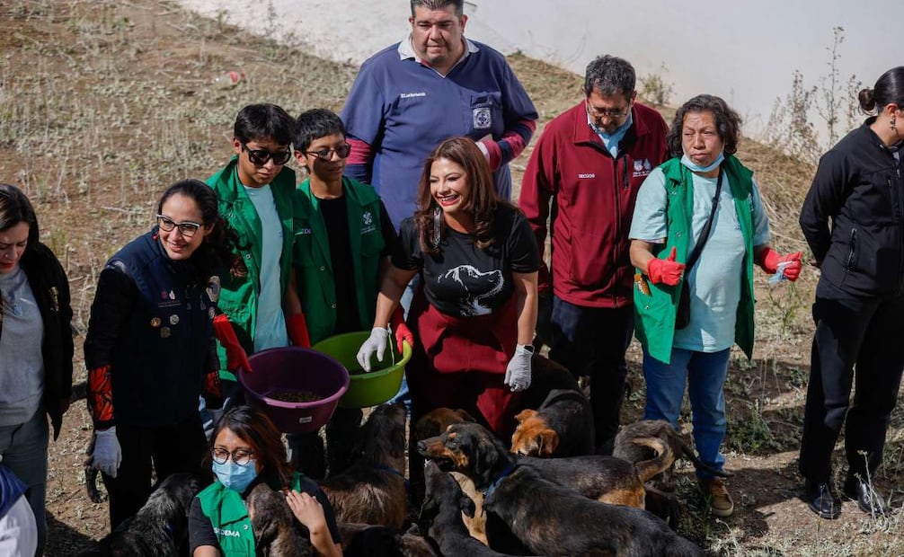 La jefa de Gobierno insistió que los perritos regresarán cuando albergue cumpla con condiciones para bienestar animal .
Foto: Diego Simón/ EL UNIVERSAL