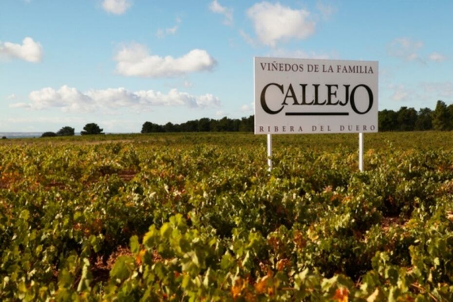 Viñedos Callejo, una visión diferente de Ribera del Duero