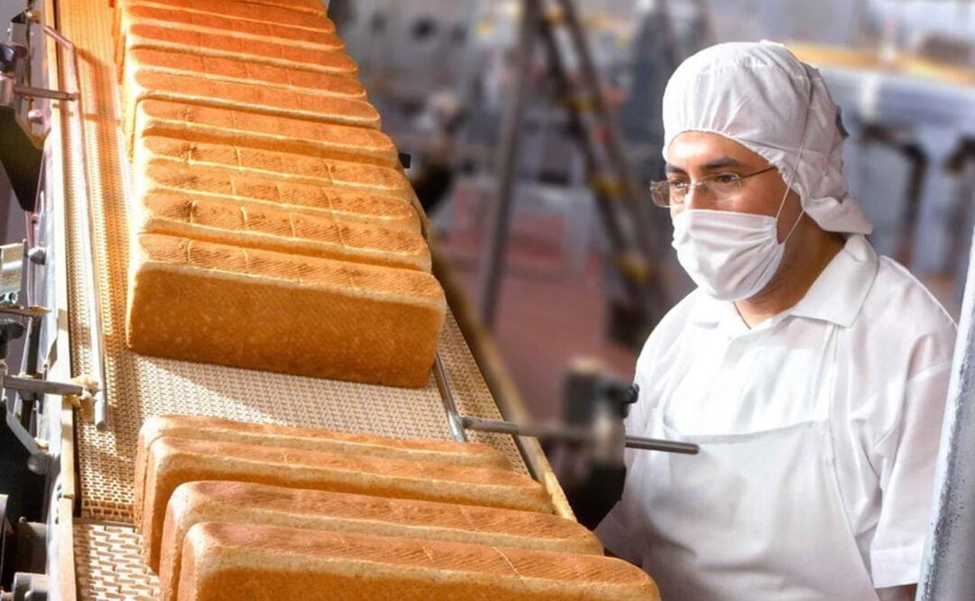 Foto: Archivo EL UNIVERSAL