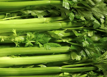 ¿Qué pasa si comes apio todos los días?