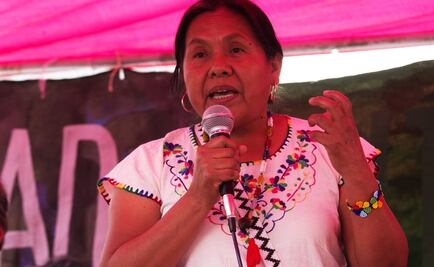 Quedemos o no en la boleta, ya ganamos: Marichuy