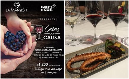 Organizan "Catas con causa" para ayudar a los niños en situación de calle