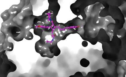 Covid-19: Pimienta negra tendría efectos antivirales contra coronavirus