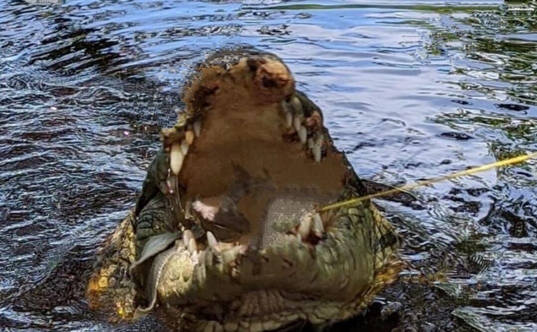 El hecho se reportó cuando esta persona de nombre Joel J. P., junto con un grupo de amigos realizaban actividades de Ecoturismo y decidió meterse a la ciénaga para bañarse. Foto: Especial