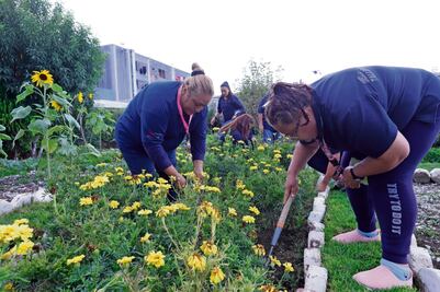 Huertos en penales, una opción para la reinserción