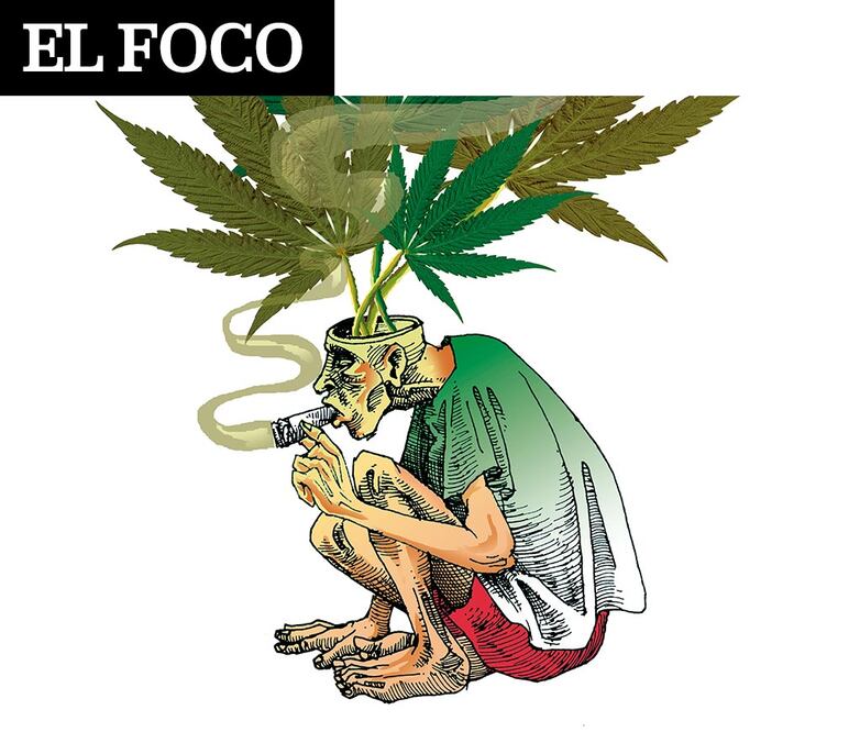 El Foco. Zacatito pa’l conejito